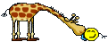 giraffe :giraffe: